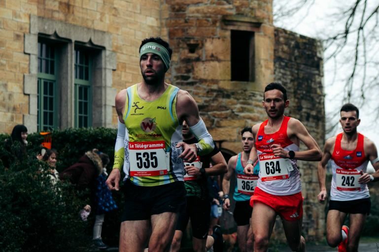 Les Blés à Landerneau !