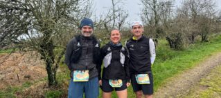 Les blés au semi du Finistère